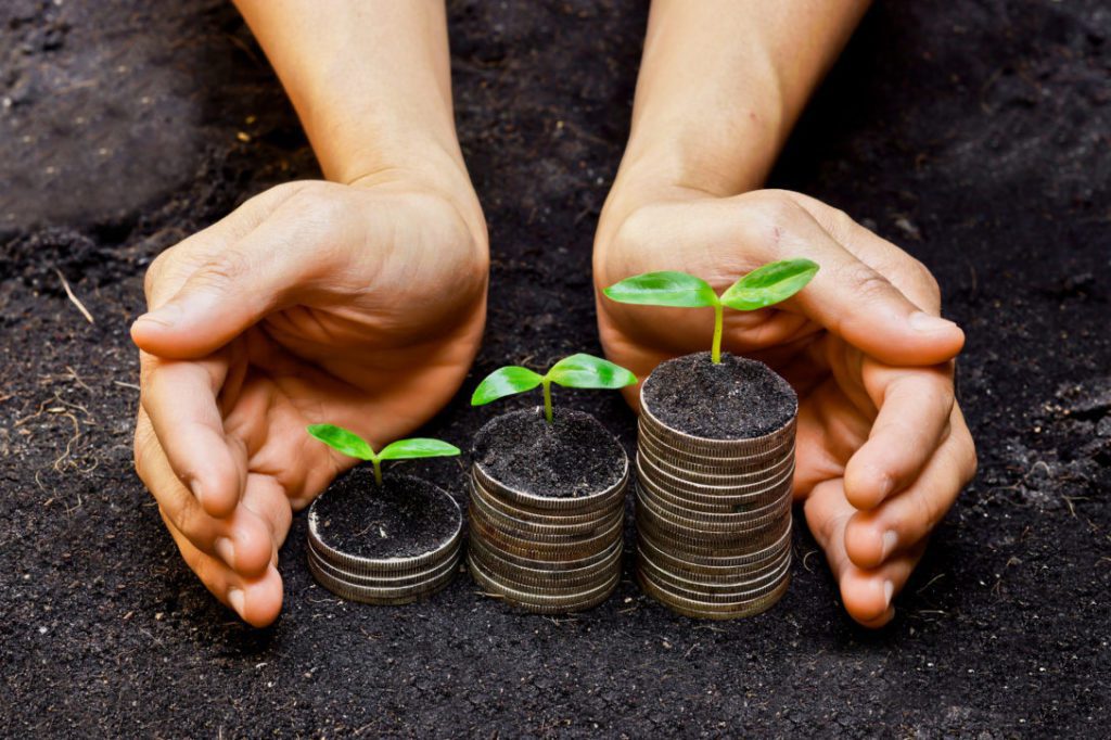 Title Image for article venture debt repost from Private Debt Investor